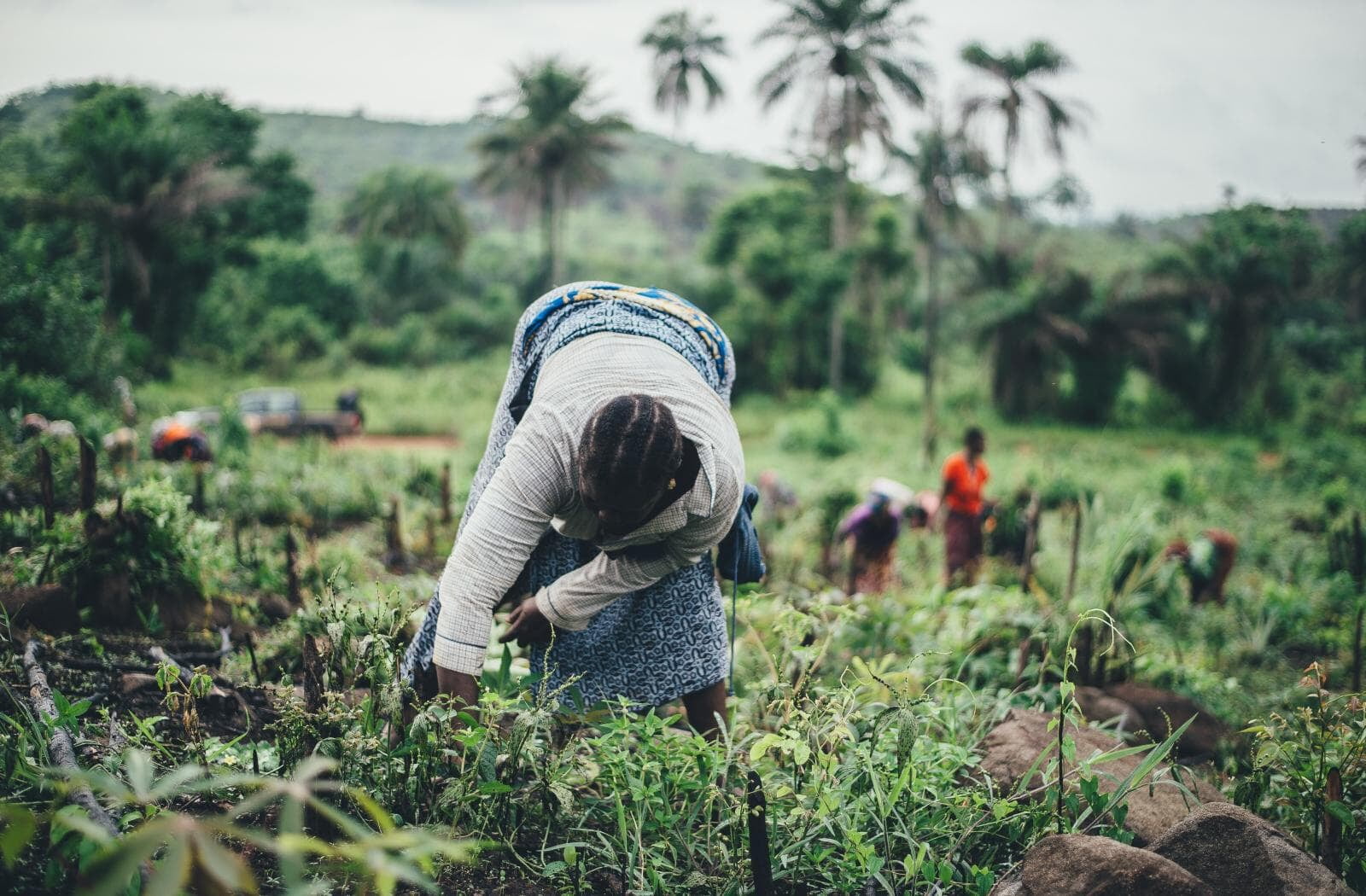 Global Surge in Climate-Tech Investments: Regional Trends and Funding Disparities